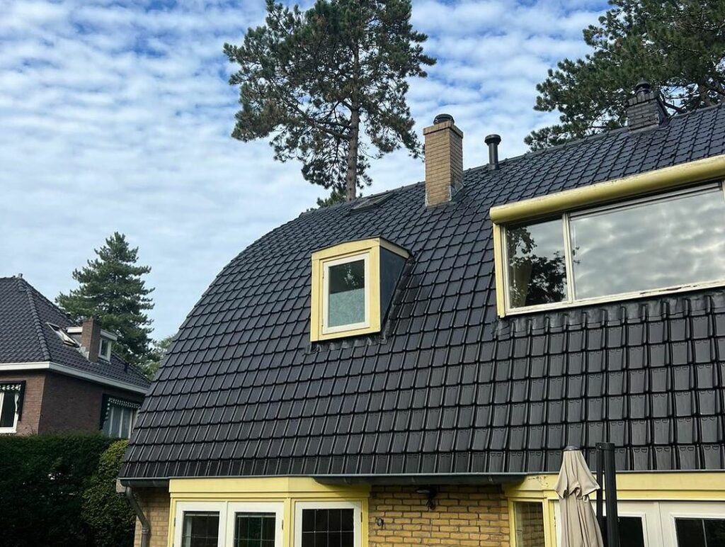 dakpannen reinigen