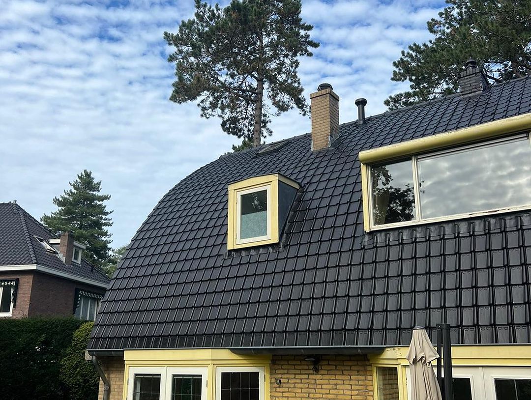 dakpannen reinigen