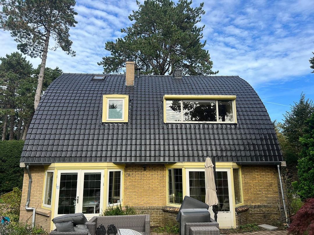 dakpannen reinigen